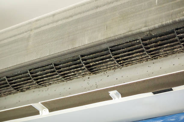 Best Air Duct Mold Removal  in West Covina, CA